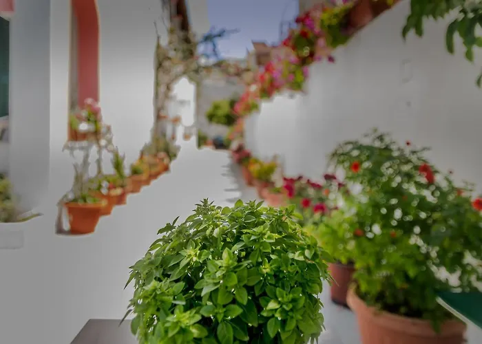 度假居 Nefeli Mare 卡沃斯