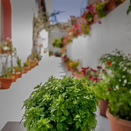 Holiday home Nefeli Mare Kavos